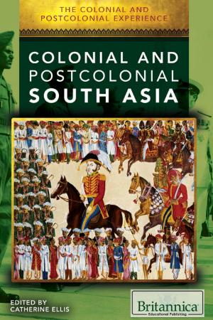 Cover of the book The Colonial and Postcolonial Experience in South Asia by Robert Curley