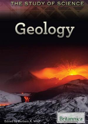 Cover of the book Geology by Laura La Bella