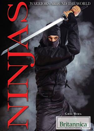 Book cover of Ninjas