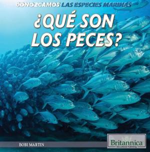 Cover of the book ¿Qué son los peces? (What Are Fish?) by Kristen Rajczak Nelson