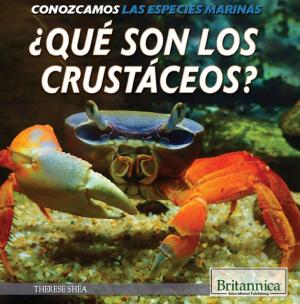 Cover of the book ¿Qué son los crustáceos? (What Are Crustaceans?) by Sherman Hollar