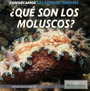 Cover of ¿Qué son los moluscos? (What Are Mollusks?)