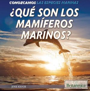 Cover of the book ¿Qué son los mamíferos marinos? (What Are Sea Mammals?) by Kenji Miyazawa, Translated by Roger Pulvers