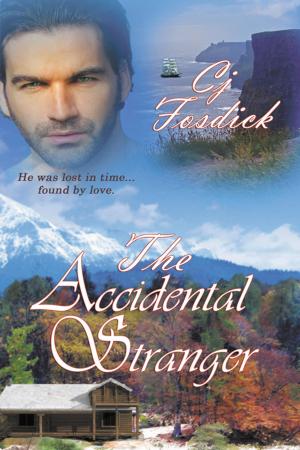 Cover of the book The Accidental Stranger by Jo  Barrett