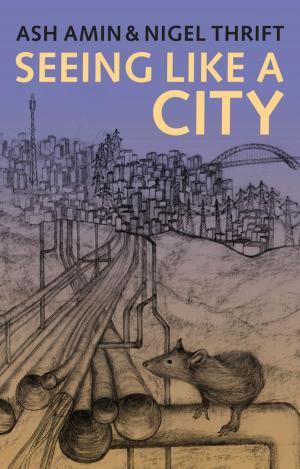 Book cover of Seeing Like a City