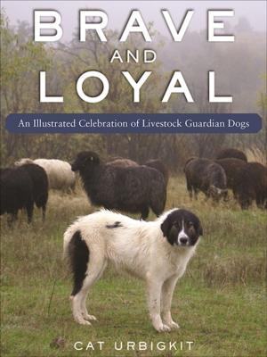 Book cover of Brave and Loyal