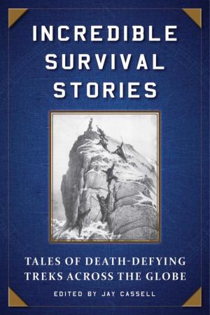 Cover of the book Incredible Survival Stories by Mathew B. Brady, Alexander Gardner