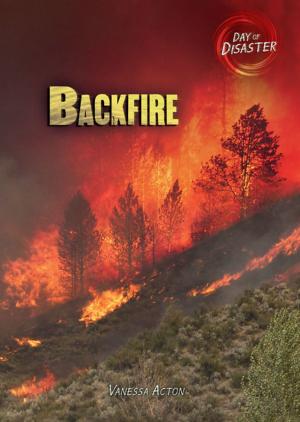 Cover of the book Backfire by Ellie B. Gellman