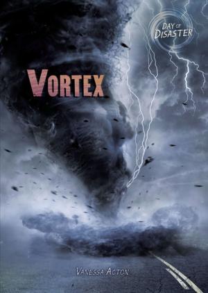 Cover of the book Vortex by Laya Steinberg