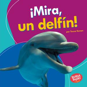 Cover of the book ¡Mira, un delfín! (Look, a Dolphin!) by Kerry Dinmont
