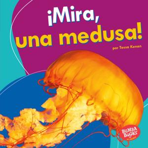 Cover of the book ¡Mira, una medusa! (Look, a Jellyfish!) by Roseann Feldmann, Sally M. Walker