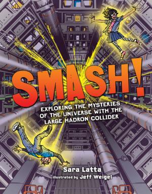 Cover of the book Smash! by Maya Friedman