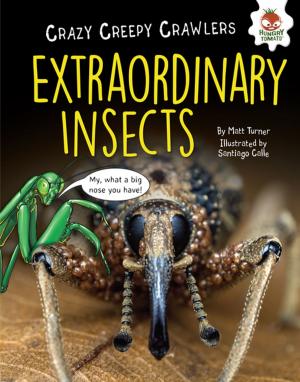 Book cover of Extraordinary Insects