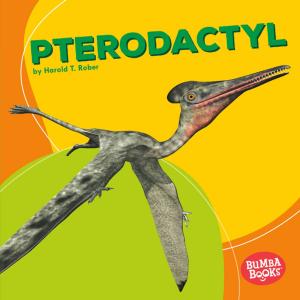 Cover of the book Pterodactyl by Brendan Flynn
