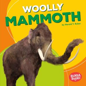 Cover of the book Woolly Mammoth by Patrick Jones