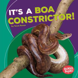 Cover of the book It's a Boa Constrictor! by Jennifer Boothroyd