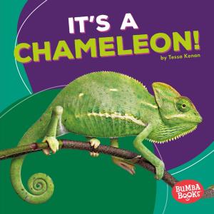 Cover of the book It's a Chameleon! by Emma Carlson Berne