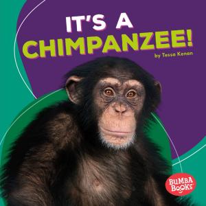 Cover of the book It's a Chimpanzee! by Aqkay