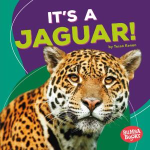 Book cover of It's a Jaguar!