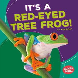 Cover of the book It's a Red-Eyed Tree Frog! by Elle Parkes