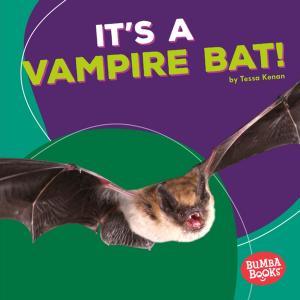 Cover of the book It's a Vampire Bat! by Rebecca E. Hirsch