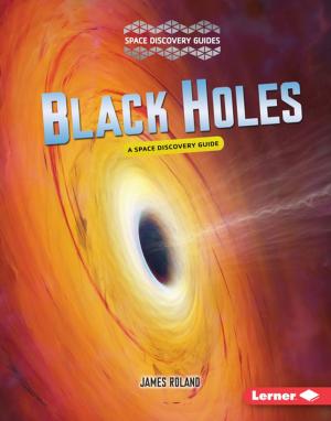 Cover of the book Black Holes by Amanda Humann