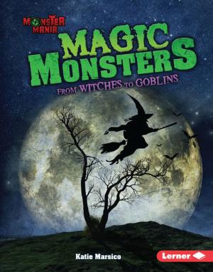 Cover of the book Magic Monsters by Jennifer Boothroyd