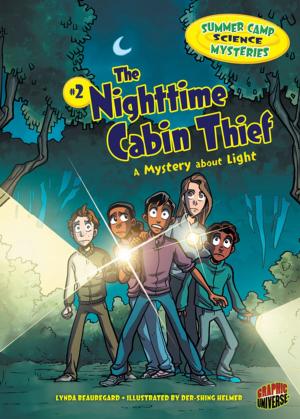 Cover of the book The Nighttime Cabin Thief by Melinda Thielbar