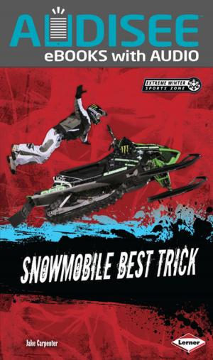 Cover of the book Snowmobile Best Trick by Anna Levine