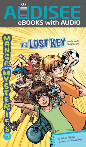 bigCover of the book The Lost Key by 