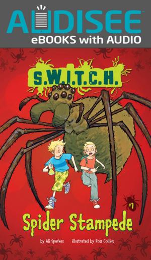 Cover of the book Spider Stampede by Jon M. Fishman