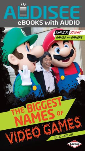 bigCover of the book The Biggest Names of Video Games by 