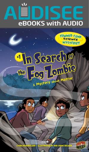 Cover of the book In Search of the Fog Zombie by Eric Braun