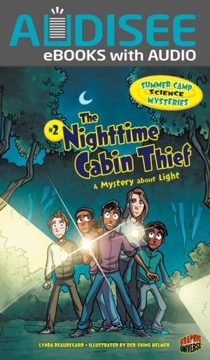 Cover of the book The Nighttime Cabin Thief by Heather E. Schwartz