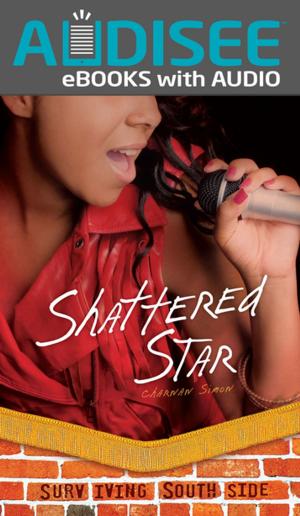 Cover of the book Shattered Star by Anita Yasuda