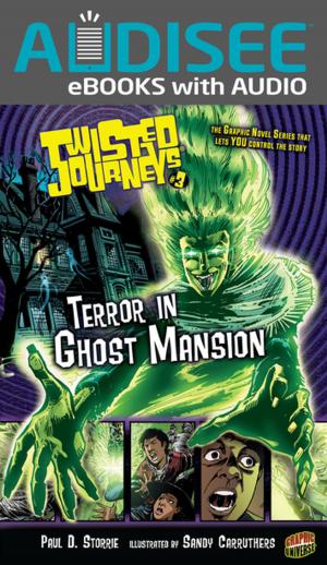 Cover of the book Terror in Ghost Mansion by Daniel Harmon