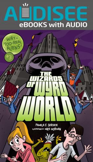 Cover of The Wizards of Wyrd World
