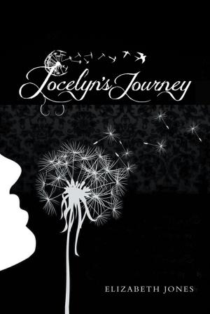 Cover of the book Jocelyn’S Journey by Larry Reinheardt