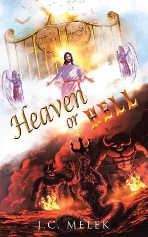 Cover of the book Heaven or Hell by Ikechi Ahamefule Nwogu (KSC)