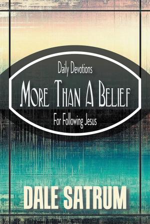 Cover of the book More Than a Belief by Titilayo Falade
