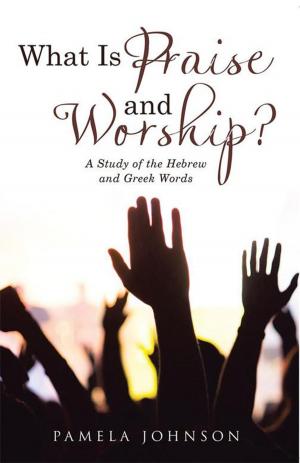 Cover of the book What Is Praise and Worship? by Robin Leigh