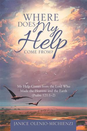 bigCover of the book Where Does My Help Come From? by 