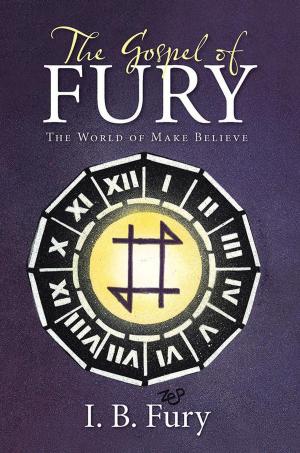 Cover of the book The Gospel of Fury by Ann Kegley
