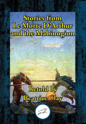 Cover of the book Stories from Le Morte D’Arthur and the Mabinogion by PUSHPENDRA MEHTA
