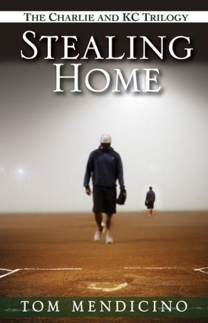 Cover of the book Stealing Home (bundle set) by Stacy Finz