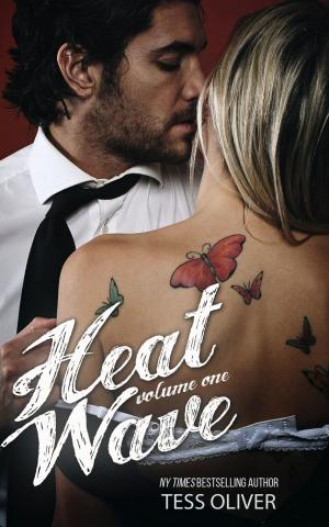 Cover of the book Heat Wave Volume One by Marcie Bridges