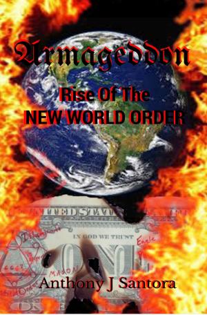Cover of the book Armageddon: Rise Of The New World Order by Juliet Nordeen