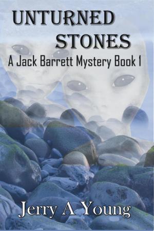 Cover of the book Unturned Stones by Hugo Lunny
