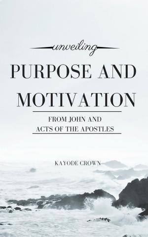 Book cover of Unveiling Purpose and Motivation From John and Acts of the Apostles