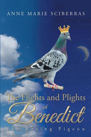 Cover of the book The Flights and Plights of Benedict by Robert Pruneda